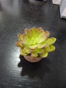 *Small Artificial Succulent in Terracotta Pot