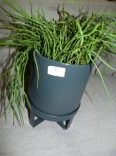 *Small Charcoal Grey Pot with Stand and Artificial