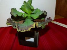 *Artificial Plant in Glazed Pot ~9