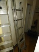 *Double Extending Ladder