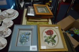 Framed Prints and Pictures