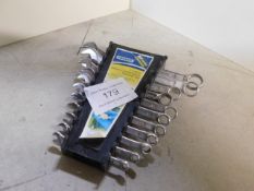 *11 Piece spanner set