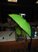 *Six Lime Green Golfing Umbrellas