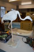 Sculpture of a Flamingo