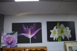 Three Canvas Prints of Flowers