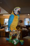 Voice Recorder Parrot by Furreal