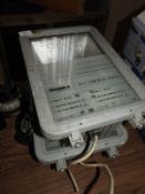 *Two Exterior Flood Lamps