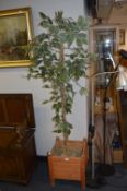Artificial Ficus Plant