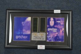 Framed Harry Potter Chamber of Secrets Presentatio