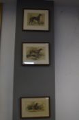 Three Victorian Greyhound Prints