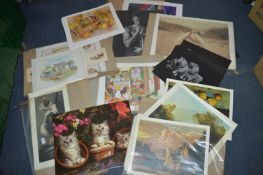 Assorted Prints - Cats, etc.