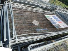 *Twenty Heras Fencing Panels