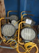 *110V Halogen Flood Lamps