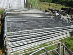 *Twenty Heras Fencing Panels