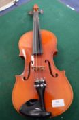 Violin