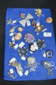 Costume Jewellery Brooches, etc.
