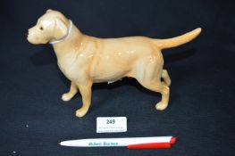 Beswick Labrador - Solomon of Wendover