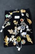 Costume Jewellery Brooches