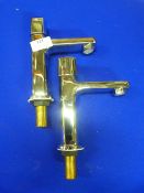 *Vanda Basin Pillar Taps