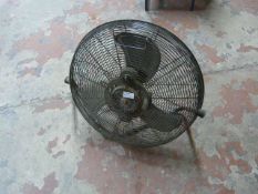 Fan