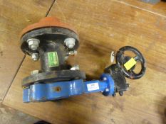 FODRV DN65 Cast Iron Valve