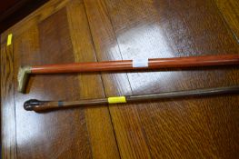 Walking Stick and a Vintage Stick