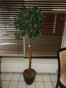 *Artificial Bay Tree