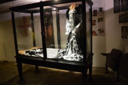 Ebonised Mahogany Glazed Display Unit on Four Square Tapered Legs