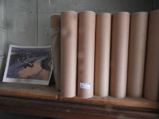 Thirteen Tubes of Limited Edition Posters of Beverleys Over Kilimanjaro