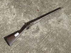 Double Barrel Percussion Shotgun (Bidding/Purchasing Restrictions Apply)