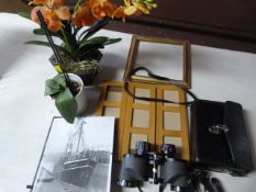 Pair of Belmont 8x30 Binoculars, Two Imitation Pla