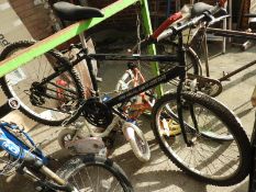 Raleigh Ogre Max Mountain Bicycle