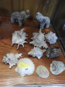 Shells and Shell Decorated Elephant