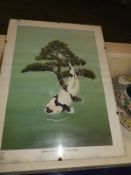 *Oriental Print of a Koi Carp