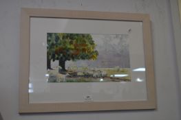 Framed Watercolour by K Jones - Morning Sheep