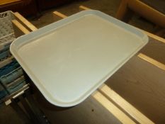 *grey plastic trays x 24