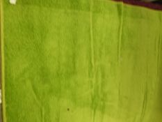 *Lime Green Rug 100x150cm