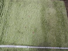 *Purple Sparkle Shag Pile Rug 85x140cm