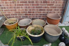 Nine Garden Platers and Contents