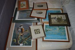 Framed Pictures and Prints