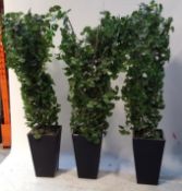 3 x 185cm High Artificial Trees/Plants in Black Square Pots - CL011 - Location: Altrincham WA14