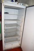 1 x Iarp AB500 Solid Door Upright Commercial Freezer - H170 x W77 x D74 cms - Ref WW364 - CL520 -