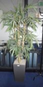 1 x Artificial Plant With Planter - Overall Height 190cm Approx - Ref: FF128 U - CL544 - Location: