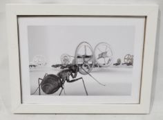 1 x Framed Art Print Of An Ant - Dimensions: 57 x 46cm - Ex-Display - Ref: WH1/U-OFF - CL087 -