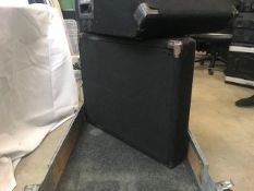 2 x Peavey 12