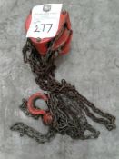 1-ton single point chain hoist