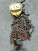 Yale single point chain hoist