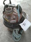 Submersible pump 110 V