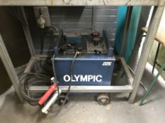 Olympic 225 Welder