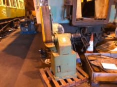 Wadkin Bursgreen 150 x 700 mm Belt Sander with Polishing Spindle